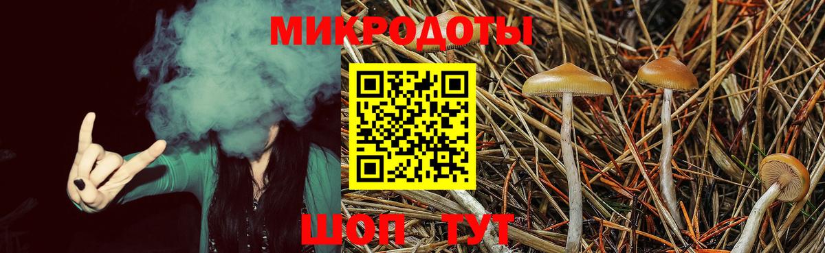 Псилоцибиновые грибы мухоморы Новотроицк