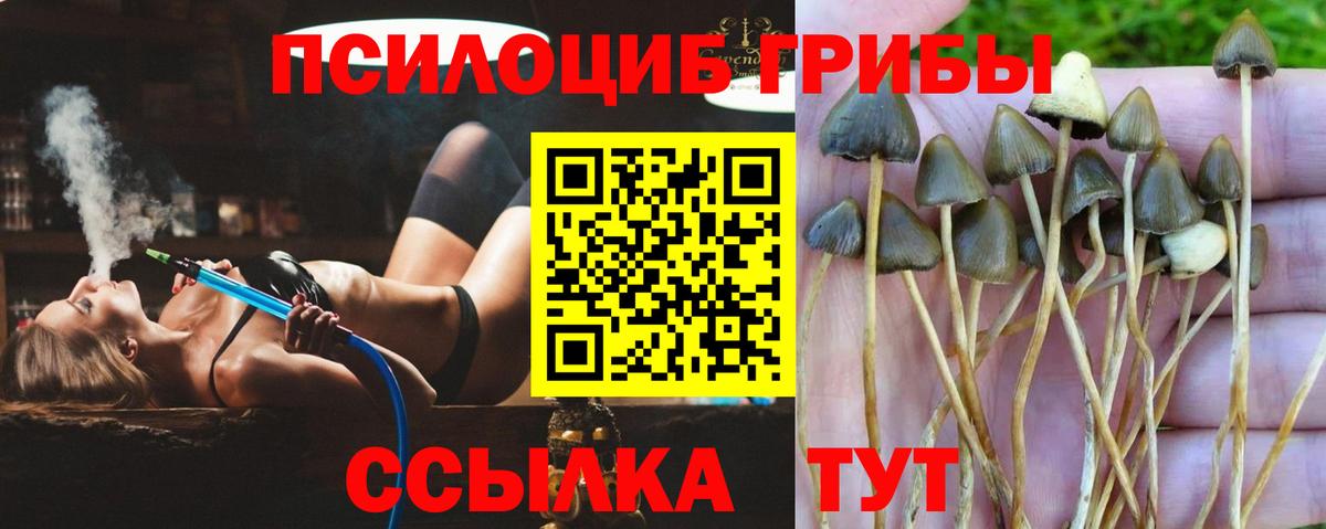 Новотроицк  Псилоцибиновые грибы GOLDEN TEACHER  Вход с VPN 